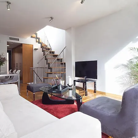 Apartment Rentals - Penthouse With Terrace *